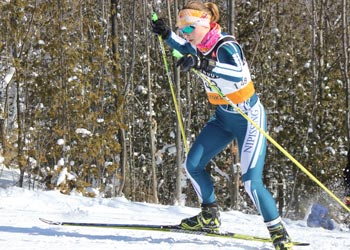 Nordic Lynsey HP