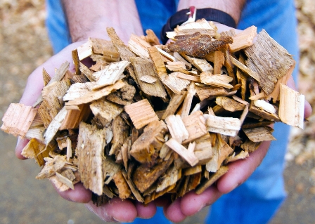 Biomass Chips