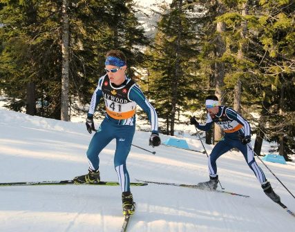 Two cross-country skiers in blue race suits skiing through a snowy forest