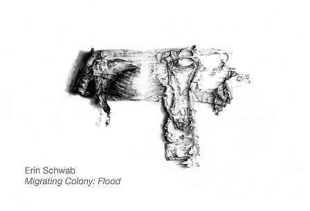 Erin Schwab NU News Image