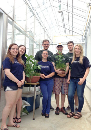 Milkweed greenhouse