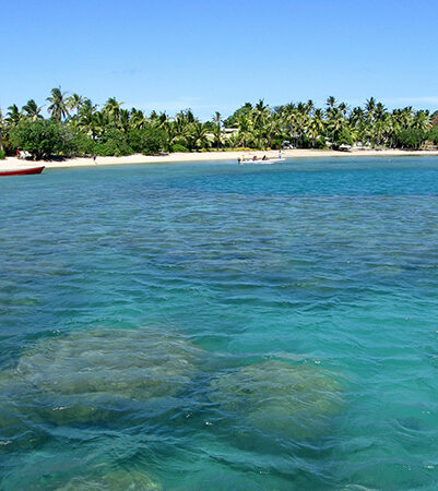 Clear turquoise water over a coral reef with a palm-fringed beach in the background