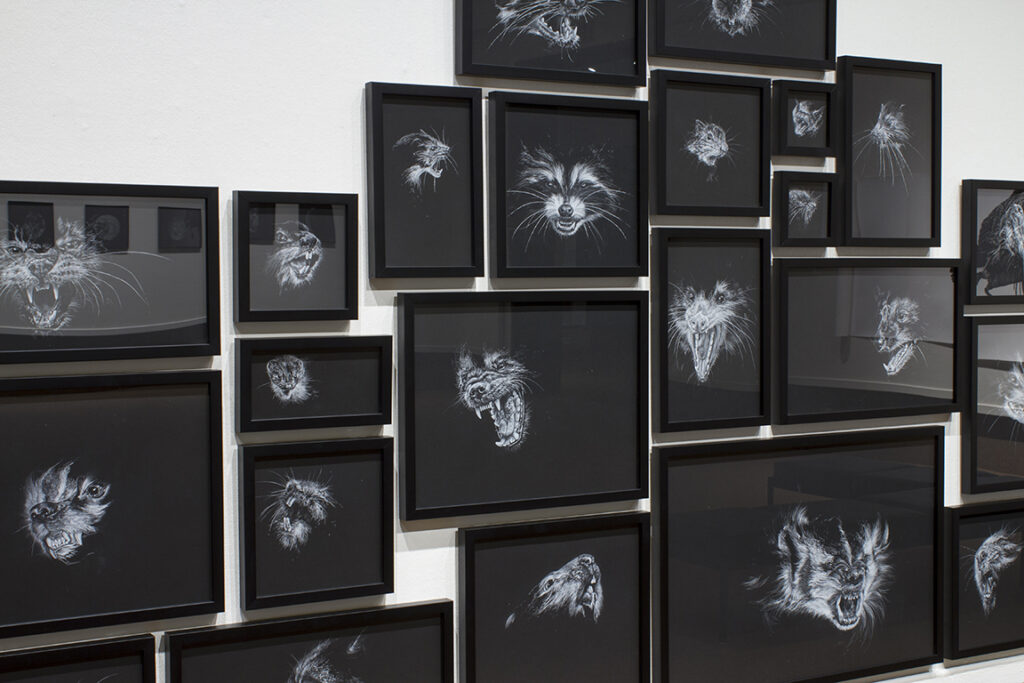 New solo exhibition for Burk