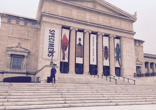 A person sitting on the steps of a large stone museum with banners reading 'Specimens: Unlocking Secrets of Life'