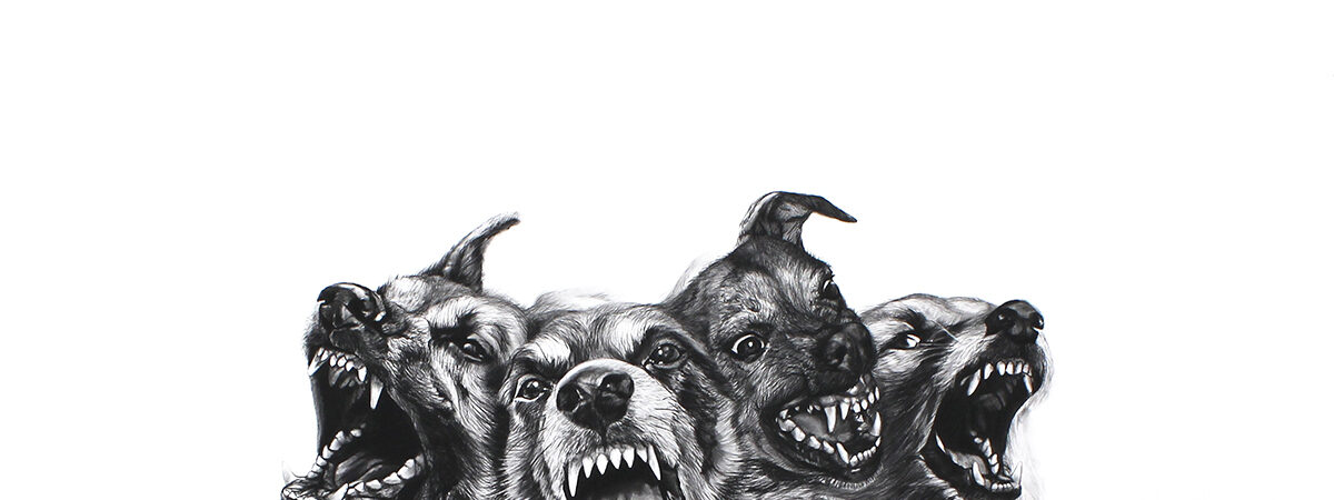 Black and white pen drawing of a cluster of snarling dog heads