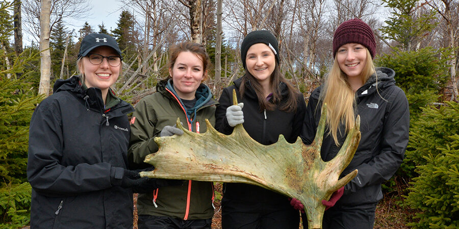 NU News Biology Students NFLD
