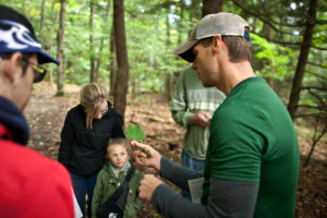 A man in a green shirt shows a maple leaf to a child in a green jacket during a guided forest walk