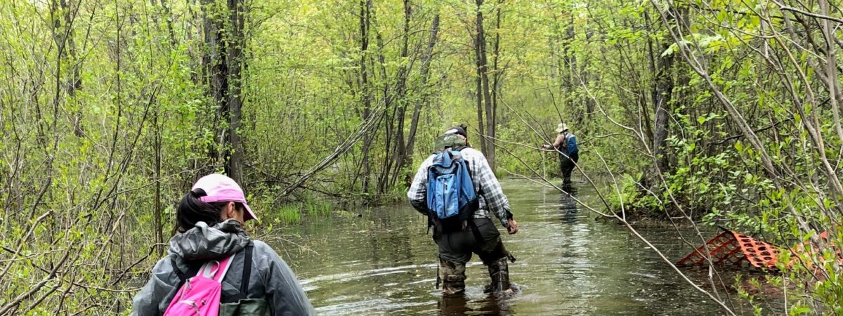 Three researchers in waders walking through a flooded forest