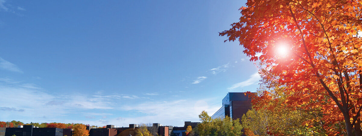 Nipissing campus pond fall
