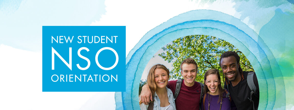 NSO 2020 page header