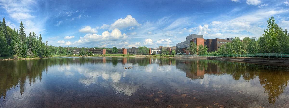 Pond geese