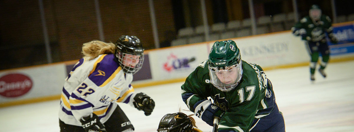 WHKY playoff promo 2019