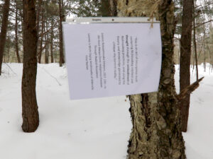 A printed sheet pinned to a tree in a snowy forest, with a quotation about Nishnaabeg intellect and thought and a citation to Leanne Betasamosake Simpson